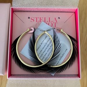 Stella and Dot Black Feather Hoops